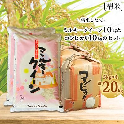 ふるさと納税 武豊町 人気のお米セット　ミルキ-クイ-ン10kgとコシヒカリ10kgのセット〈精米 20kg〉