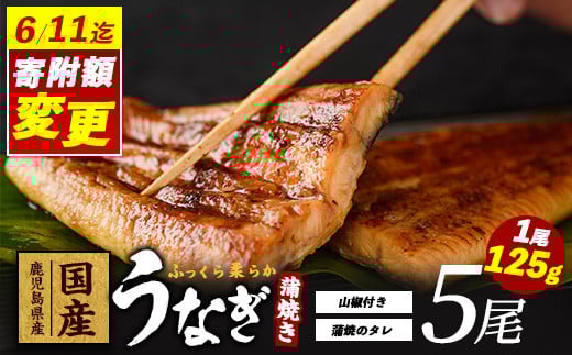 
            ＼6/11までご愛顧感謝 26,000円→24,000円／【鹿児島県産】うなぎ蒲焼じっくり焼き約125g×5尾 化粧箱入り(大新/024-1903) 鰻 ウナギ 蒲焼 国産 丑の日 うな重 無頭 ギフト プレゼント 贈り物 贈答 惣菜 総菜 小分け レンジ 簡単 蒲焼き 冷凍 鹿児島県産
          
