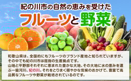 【6ヶ月定期便】の恵み旬のフルーツ＆野菜セット計8~10品《お申込み月翌月から出荷開始》フルーツ果物野菜セット桃梅みかん---wfn_cvgs1tei_23_60000_mo6num1---