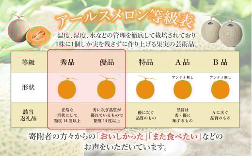 【先行予約】茨城県産アールスメロン「赤」約2.5kg（2個）【2026年9月上旬～10月上旬ごろ発送予定】【 国産メロン 茨城県産メロン メロンの王様 高級メロン めろん  果物 くだもの フルーツ 