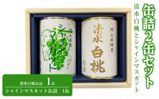 清水白桃とシャインマスカット缶詰2缶セット | フルーツ 果物 くだもの 桃 モモ もも 白桃 シャインマスカット マスカット 缶詰 缶詰め 岡山 国産 フルーツ 果物 くだもの おすすめ 人気 フルーツ 果物 くだもの