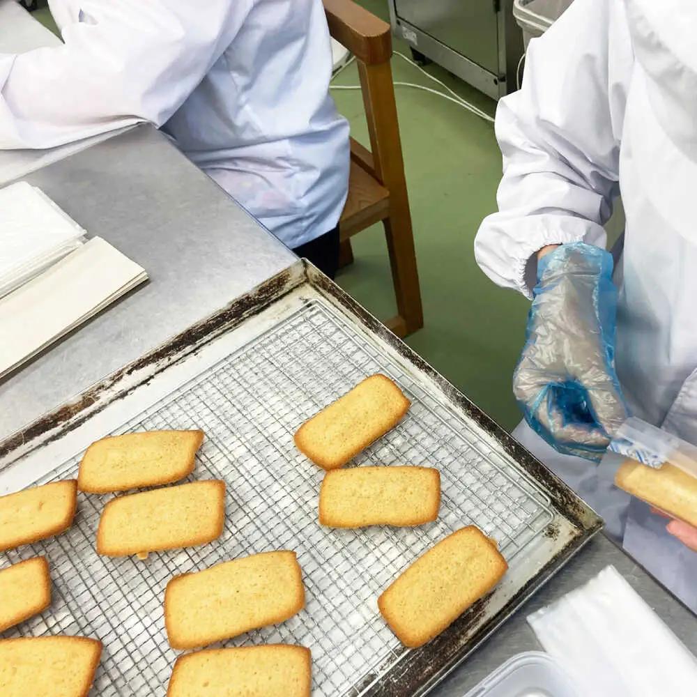 【全6回定期便】焼き菓子ギフトC / 焼き菓子 ギフト 詰め合わせ / 瀬戸市 / 社会福祉法人くわの実福祉会かいこ[BBBU016]