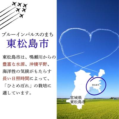 ふるさと納税 東松島市 【令和7年産】 宮城県産ひとめぼれ(精米)    10kg 米 ひとめぼれ ヒトメボレ 宮城県産 |  | 03