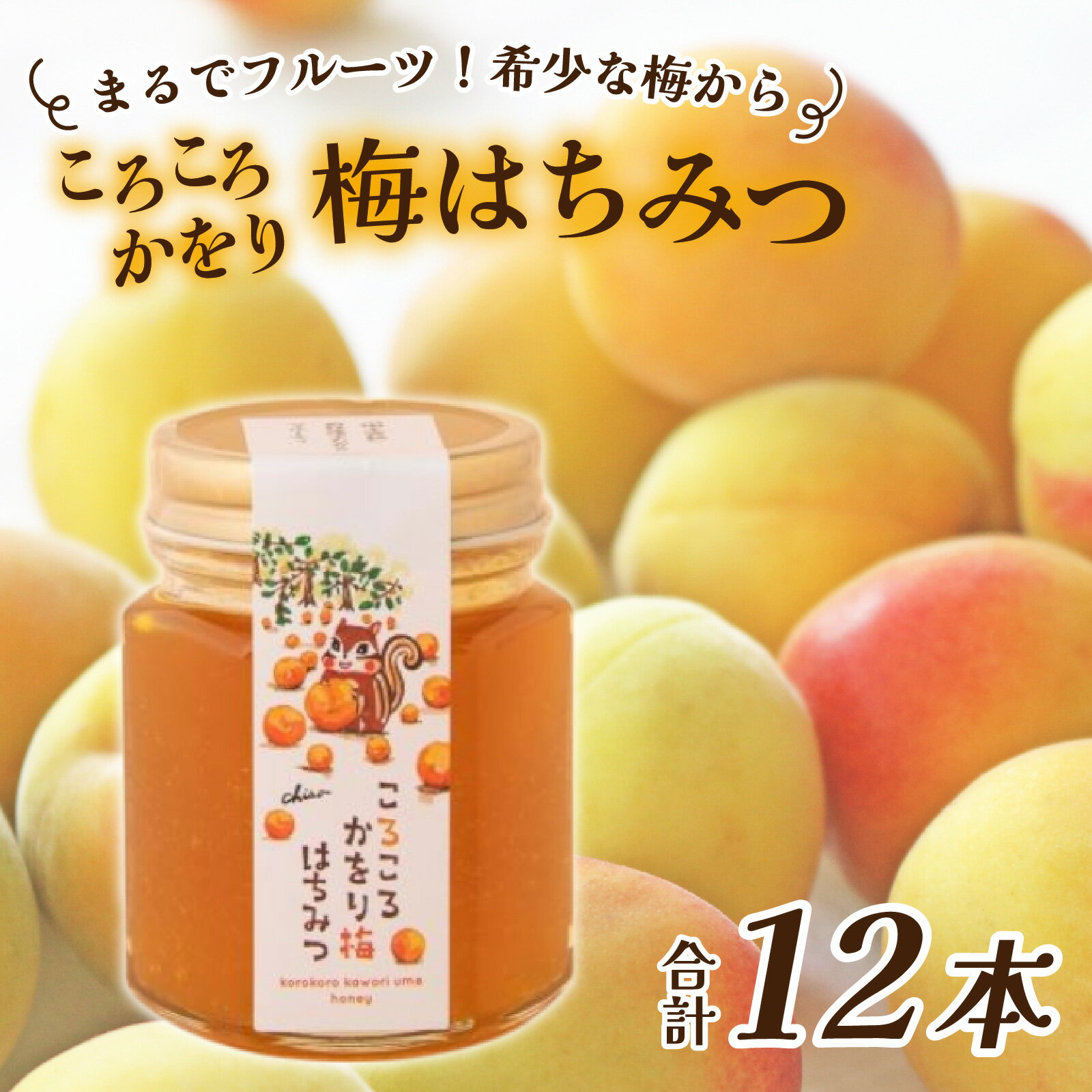 【ふるさと納税】まるでフルーツ！希少な梅から「ころころかをり梅はちみつ」12本 [E-178002] / 梅 うめ はちみつ ハチミツ 加工品 調味料 ジャム 季節ジャム パン ジャムティー ヨーグルト 料理 手造り 詰合せ お取り寄せ 送料無料