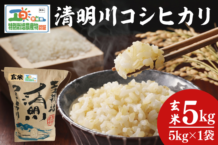 04-19 茨城県特別栽培認証 清明川コシヒカリ玄米 5㎏【令和6年産新米】【米 おこめ こしひかり  特別栽培米 農家直送 直送 茨城県 阿見町】