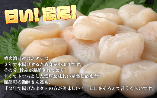 【北海道産】【緊急支援品】お刺身用ホタテ貝柱600g(300g×2) 