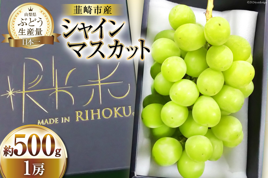 
            【2026年発送】 先行受付 シャインマスカット 2026 予約 一房 500g～ 600g マスカット 山梨 ぶどう ブドウ 葡萄 果物 くだもの フルーツ 期間限定 季節限定 産地直送 山梨県産 数量限定 [梨北農業協同組合 山梨県 韮崎市 20743010]
          