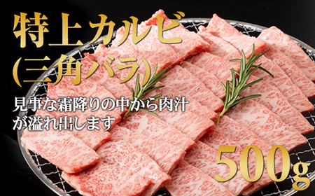 三角バラ肉入り！佐賀牛焼肉セット（カルビ・ロース×900g）つるや食品 D400-006