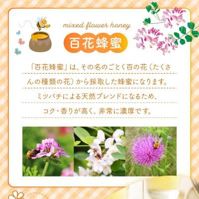 ふるさと納税 南九州市 国産百花蜂蜜600g |  | 02