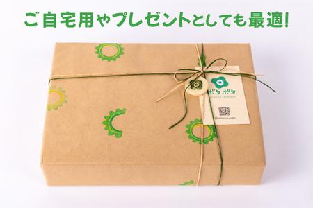 ゴーヤーの3点食器セット（ハーフ）｜食器 やちむん 皿 箸置き 沖縄県 豊見城市（DD025）