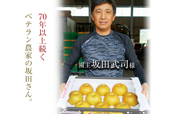 『坂田農園』の玉東梨 約5kg《8月中旬-9月末頃出荷》 熊本県玉名郡玉東町産『坂田農園』なし 果物 スイーツ フルーツ デザート  旬 豊水 あきづき 新高