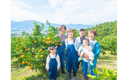＜品種厳選＞こだわりの貯蔵みかん　10キロ＜2025年12月20日出荷開始～2026年2月28日出荷終了＞【 みかん 神奈川県 小田原市 みかん】