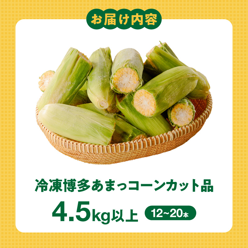 冷凍便！旬の時期に冷凍したSDGs米堆肥で作った博多あまっコーンカット品 4.5キロ以上（12～20本） _ 博多あまっコーン カット 4.5キロ以上 12 ～ 20本 カット品 とうもろこし 国産 
