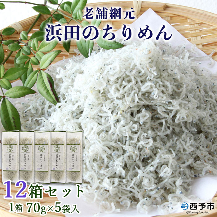 ＜老舗網元 浜田のちりめん 12箱セット(1箱 70g×5袋入)＞ 詰め合わせ かたくちいわし カタクチイワシ 小魚 のし対応可 お祝い 内祝い ギフト 贈答 贈り物 乾物 お中元 お土産 小分け 国産 マルヨシ水産 特産品 愛媛県 西予市（1箱　70g×5個入）