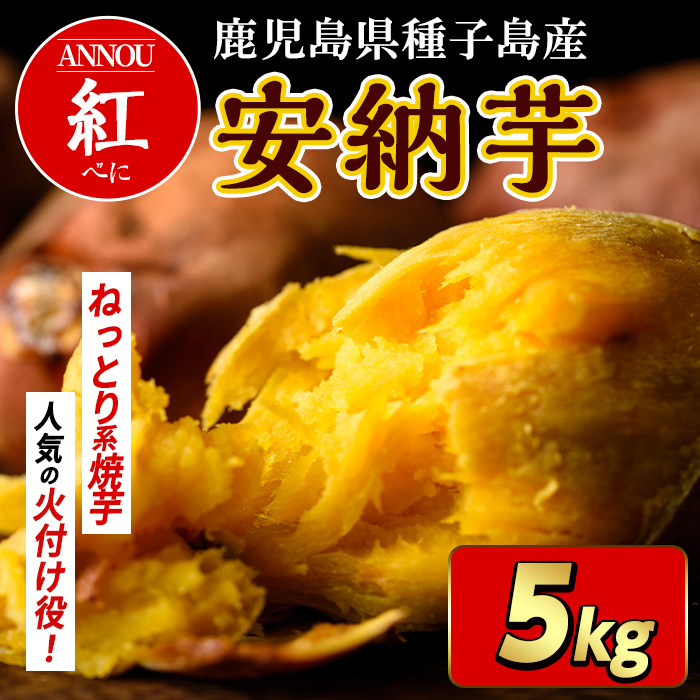 n175 ＜期間限定！先行予約受付中！2025年10月下旬頃から12月中の発送予定＞種子島産 安納芋＜紅＞(5kg) 国産 安納芋 紅 種子島 芋 イモ さつま芋 安納いも 野菜 焼き芋 焼芋 【うずえ屋】