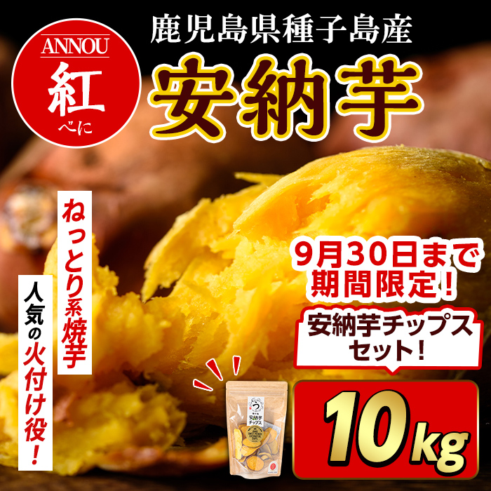 n082 ＜期間・数量限定セット！先行予約受付中！2025年10月下旬頃から12月中の発送予定＞種子島産 安納芋＜紅＞(10kg)＆安納芋チップス1袋セット 国産 安納芋 紅 種子島 芋 イモ いも さつまいも さつま芋 安納いも 野菜 【うずえ屋】