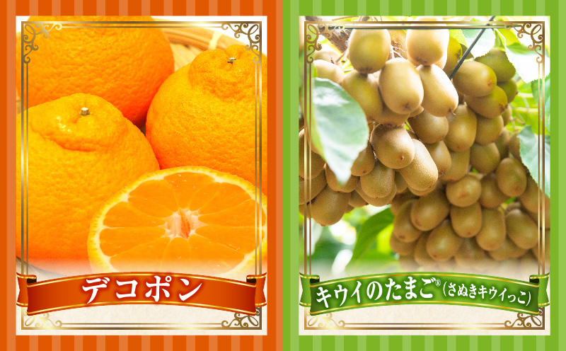 季節の恵み4回定期便C | 果物 フルーツ 青果 青果物 デザート スイーツ 果実 旬 季節 旬の果物 季節の果物 生鮮食品 生鮮 贈答 贈り物 ギフト プレゼント おすそ分け お祝い 内祝い ご褒美