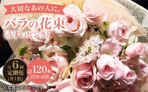 【6回定期便】【記念日には バラ を送ろう】 バラ の 花束 （薄い ピンク ） 花 花束 バラ ばら ブーケ 記念日 贈答 ギフト プレゼント ＜花工房るふらん＞ [CCR027]