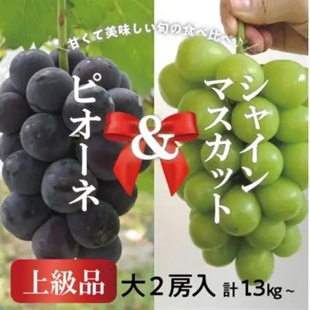 ピオーネ＆シャインマスカット 上級品 大2房 /計1.3kg~ (岡山県産) 人気の食べ比べセット!【配送不可地域：離島】【1571760】