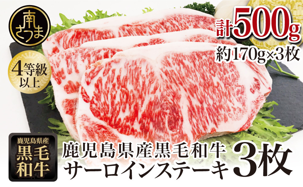 
                  【鹿児島県産】黒毛和牛 サーロインステーキ 約500g （約170g×3枚） 4等級以上 牛肉 サーロイン BBQ 焼肉 バーベキュー キャンプ 国産 和牛 お肉ギフト 贈答 冷凍 スターゼン 南さつま市
                