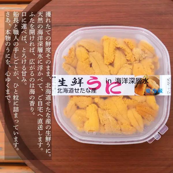 【2026年6月上旬から順次発送】【海洋深層水使用】北海道産 生うに 120g×5個 キタムラサキウニ 直送 旬 うに丼 海鮮 せたな町 ふるさと納税