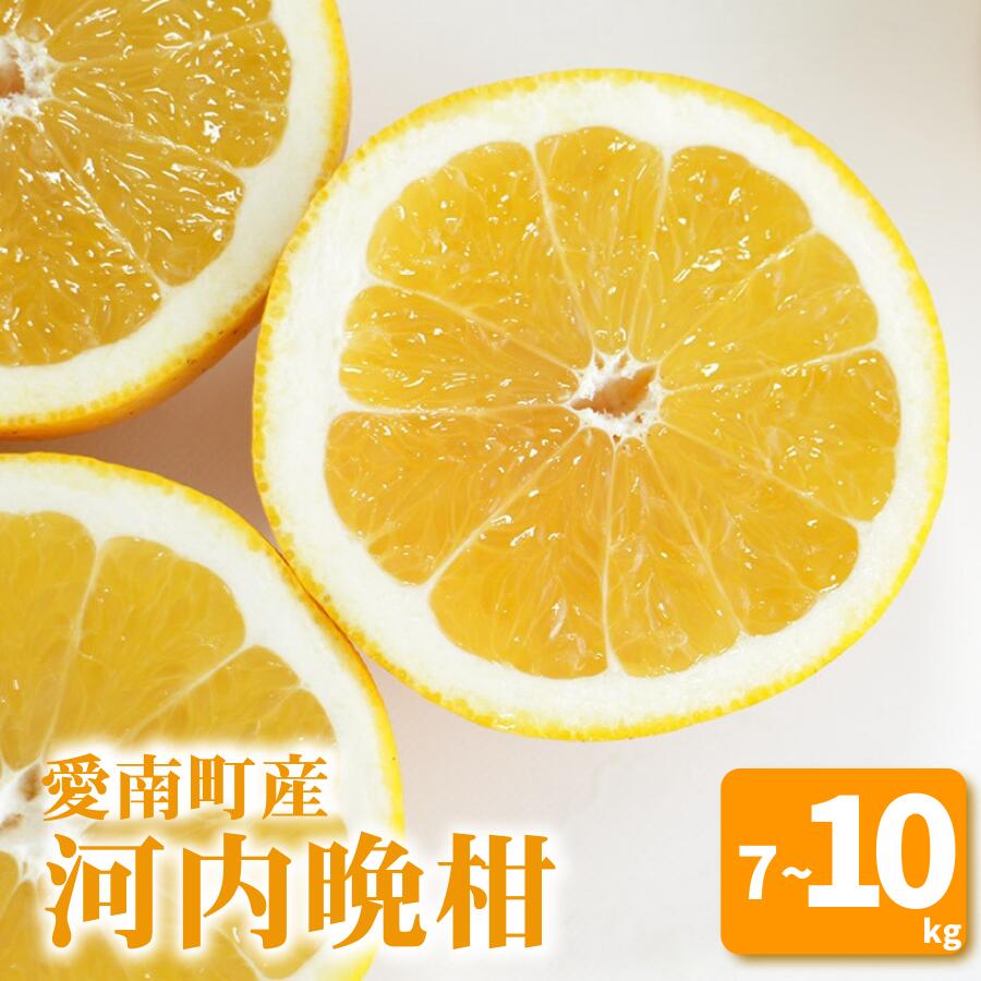 【ふるさと納税】 先行予約 選べる 容量 河内晩柑 7kg 10kg みかん 蜜柑 愛南ゴールド フルーツ 果物 くだもの 柑橘 和製 グレープフルーツ みかん 蜜柑 柑橘 柑橘類 フルーツ 果物 くだもの ゼリー ジュース 贈答 愛媛県 愛南町 山口農園