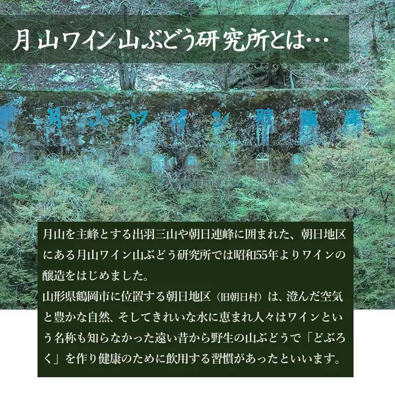 赤ワイン　飲み比べ2本セット　ソレイユルバン・ヤマソービニオン750ml＆豊穣神話・ヤマソービニオン720ml　K21-744