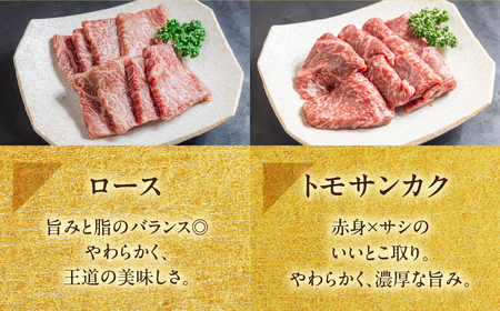 飛騨牛 焼肉 5種 食べ比べセット（各100g）計500g （カルビ・肩・モモ・ロース・トモサンカク）【22-53】