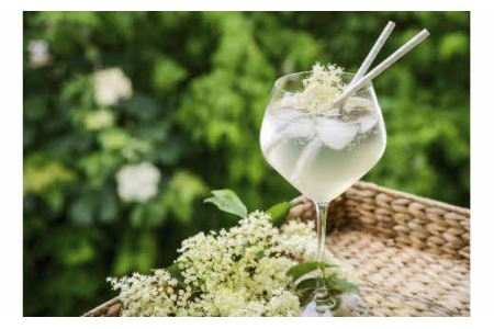 Kocomo’s エルダーフラワーフィズ 炭酸飲料 200ml×6本 _S122