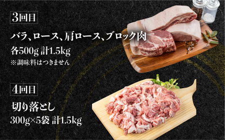 豚肉 定期便 全4回 白川郷 豚 定期便