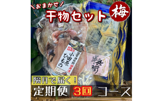 【隔月定期便3回】厳選！小田原の旬の干物セット 梅【 まぐろや 神奈川県小田原市 】
