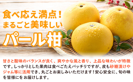 【2027年先行予約】パール柑 10kg 都呂々みかん生産者グループ《2027年3月上旬-4月中旬頃出荷予定》 フルーツ 果物 くだもの 柑橘 みかん ミカン 蜜柑