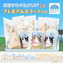 【ふるさと納税】お菓子な牛乳かい!? 2種・プレミアムスコーンセット（網走市内加工・製造）【 ふるさと納税 人気 おすすめ ランキング 菓子 洋菓子 焼き菓子 スコーン ミルクグラッセ オホーツク産 網走産 無添加 北海道 網走市 送料無料 】 ABAM003