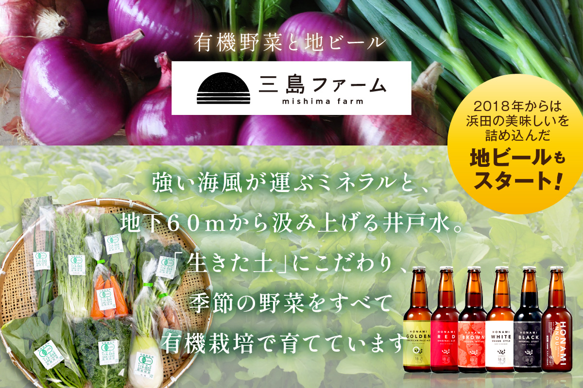 朝採り新鮮！有機野菜セット詰合せ（7～9種類）3回コース【定期便】 定期便 採れたて 産地直送 葉物 有機JAS認証 野菜セット 旬の野菜 ふるさと納税 野菜【1908】