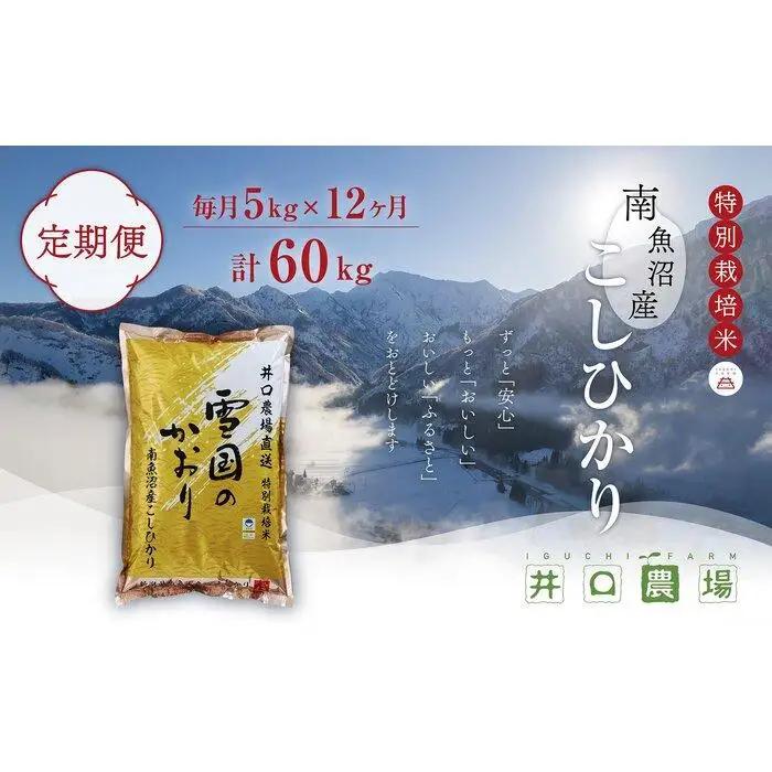 【令和７年産】【定期便】５kg×12ヶ月　南魚沼産コシヒカリ 井口農場 こだわりの 特別栽培米｜定期便