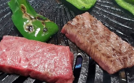 牛肉 焼肉 A5～A4 博多和牛 厳選セット 計1150g 焼肉たれ 塩胡椒付 化粧箱入 ※配送不可:離島