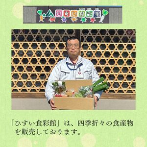 直売所からお届け！旬の野菜セット【隔月6回お届け】（8～10品詰め合わせ）新鮮な野菜直送便