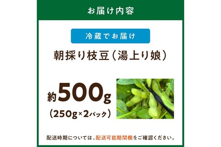 【先行予約／数量限定40】朝採り枝豆（湯上り娘）500g（250g×2パック）（栽培期間中農薬・化学肥料・除草剤不使用）（2026年7月上旬～発送）