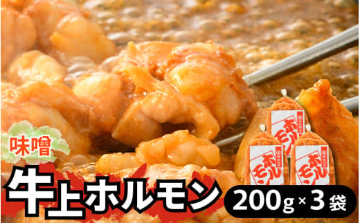 牛味噌 上ホルモン 200g×3袋（1～2人前×3袋） 計600g ＜絶品！炒めるだけ簡単！＞ ／ 味付け 肉 焼肉 BBQ バーベキュー もつ ホルモン 小分け おつまみ 冷凍 アウトドア やみつき