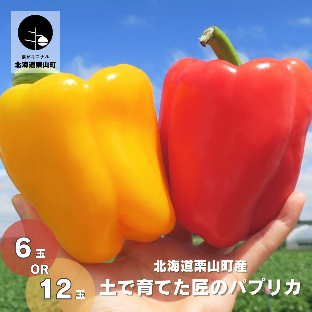 【ふるさと納税】北海道栗山町産 土で育てた匠のパプリカ 《6玉・12玉》