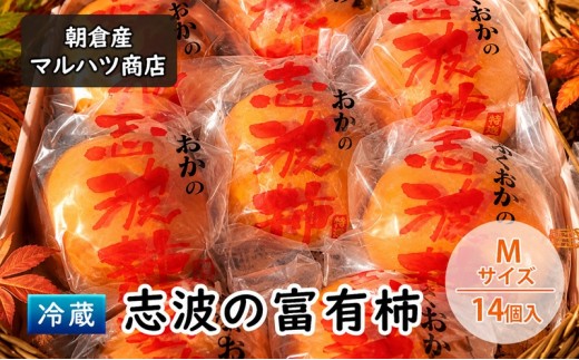 
            柿 冷蔵 志波の富有柿 Mサイズ×14個入 マルハツ商店 配送不可：離島
          