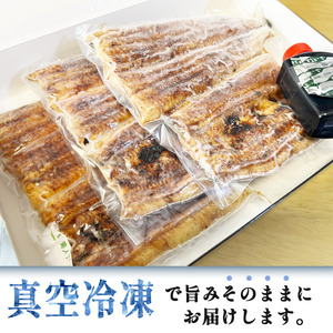 【国産 うなぎ】冷凍 うなぎ 3尾 贈答用 のし対応可 