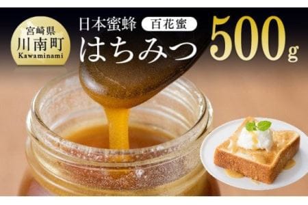 【数量限定】国産はちみつ（百花蜜）500g【蜂蜜 国産 はちみつ 九州産 宮崎県産 川南町産 ハチミツ】