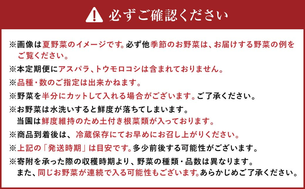 【12ヶ月定期便】有機JAS認定 季節の野菜 詰め合わせ～有機野菜セットA～