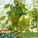 【ふるさと納税】令和6年産 ラ・フランス 約2kg箱 サイズお選びください【4L～5L・Lサイズ】　佐藤農園