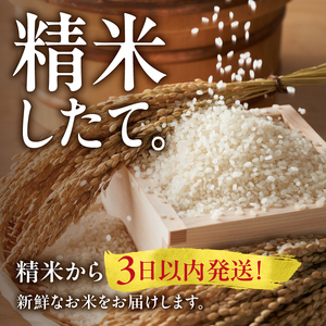 令和5年産 うりゅう米 ななつぼし 玄米  10kg（5kg×2袋）