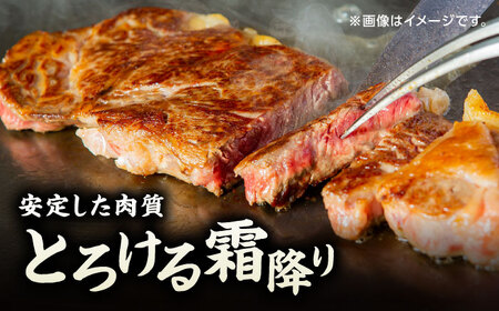 【6回定期便】くまもと黒毛和牛 ステーキ食べ比べ ヒレステーキ×4枚 サーロインステーキ×4枚【馬刺しの郷 民守】  食べ比べ セット 霜降り ステーキセット  [ZBL087]