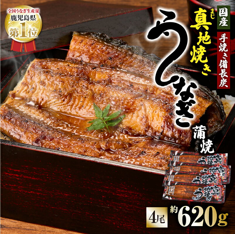 【ふるさと納税】【土用の丑の日特集】鯉家の絶品蒲焼 真地(マジ)焼きうなぎ蒲焼(無頭)(計620g・4尾×155g) 秘伝タレ・山椒付き！熟練の職人たちが備長炭で丁寧に手焼き！【株式会社 鯉家】
