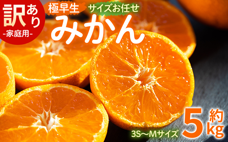 【2026年10月より順次配送】訳あり(家庭用) サイズお任せ 極早生みかん 5kg 3S〜Mサイズ - 訳アリ フルーツ 果物 くだもの 果実 甘い あまい 酸味 蜜柑 ミカン be-0118