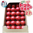 【ふるさと納税】 トマト 詰合せ 約2.7kg 野菜 農園直送 新鮮 青果 焼津 a11-120